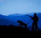 Les espèces de gibier les plus courantes en montagne